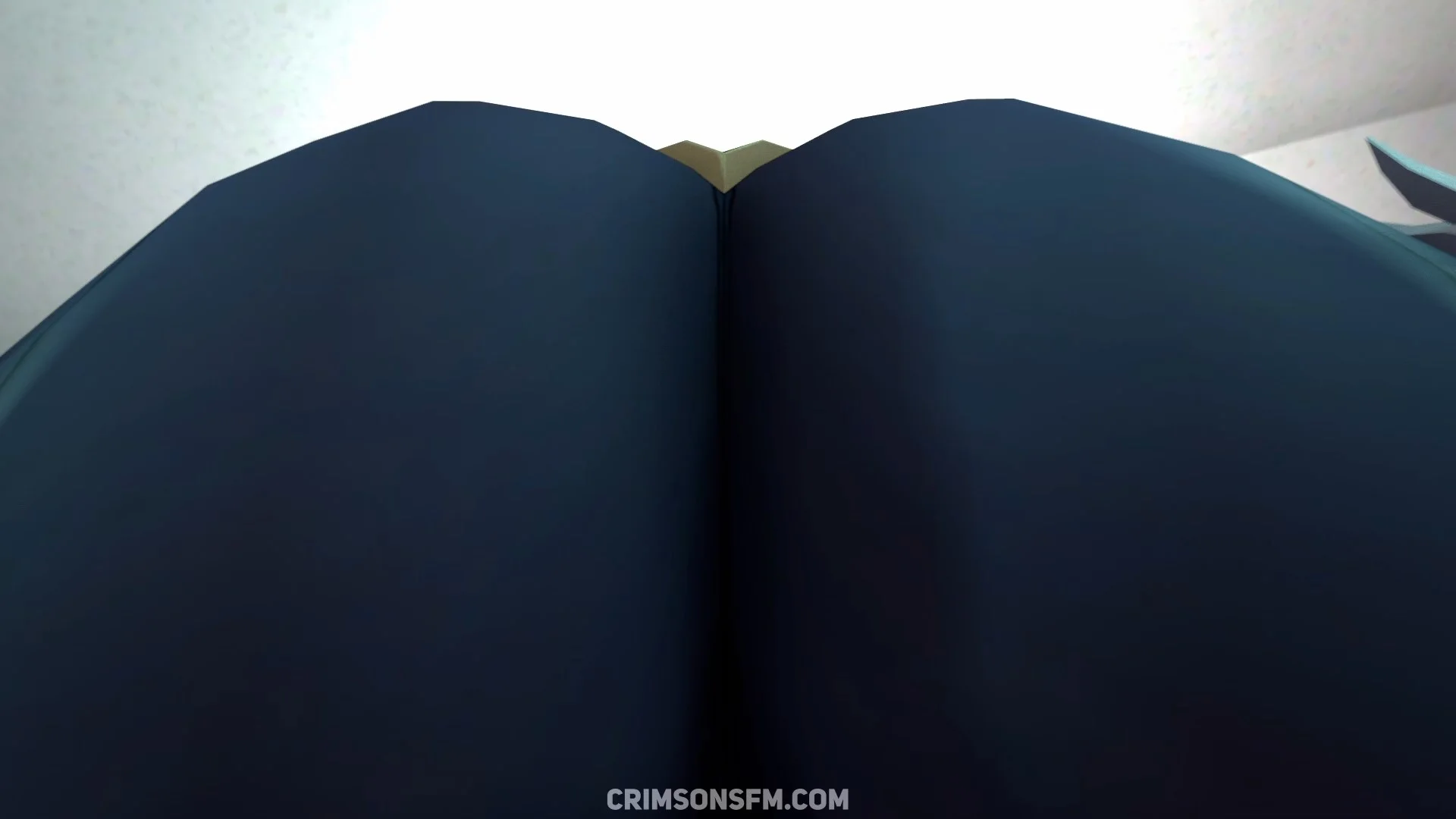 Eula farts in a room — POV — POV Alternative.mp4 Alternative