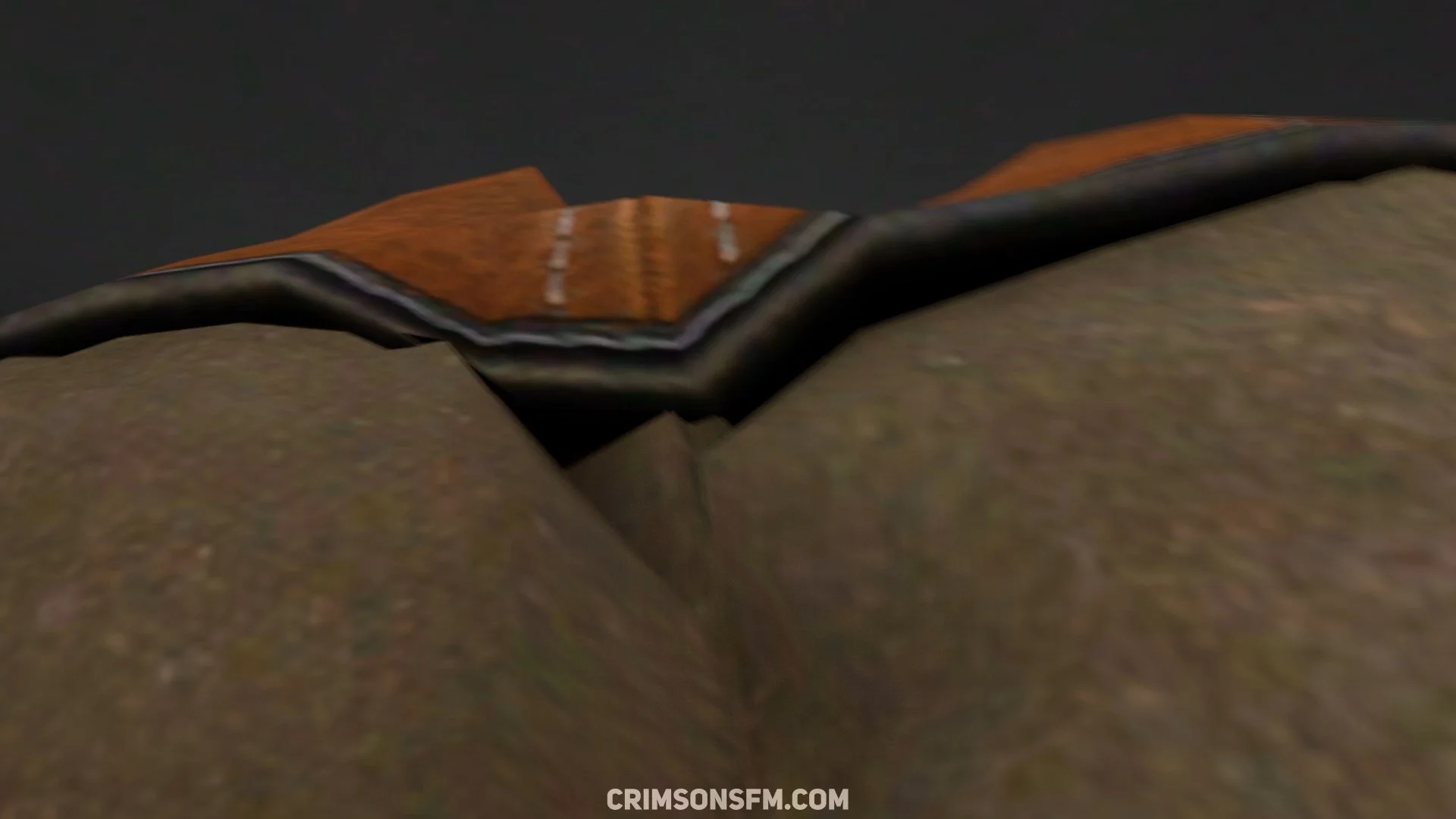 POV perspective in Ciri farts on Amber — fetish SFM preview 3