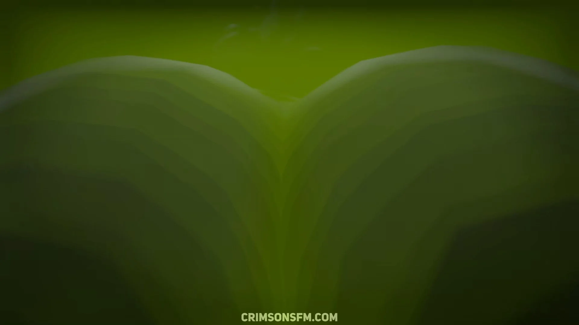 Shenhe farts on Lumine with gas cloud — Gas fetish SFM preview 3