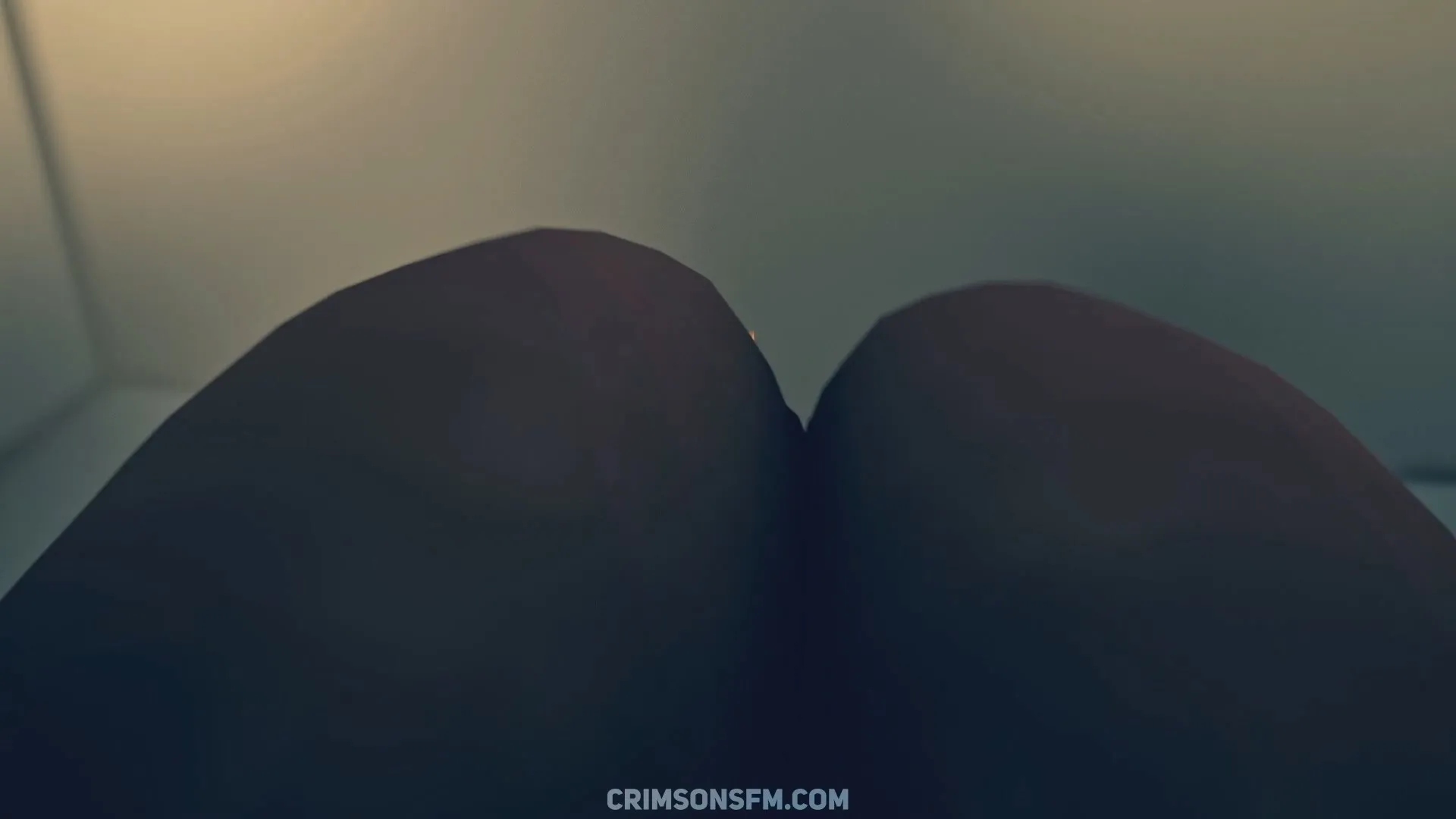 POV perspective in Hu Tao farts on Aether — fetish SFM preview 2