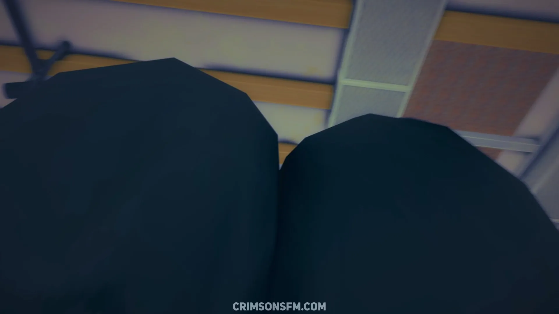 POV perspective in Zhu Yuan and Qingyi fart on Nicole (with Belle) — fetish SFM preview 2
