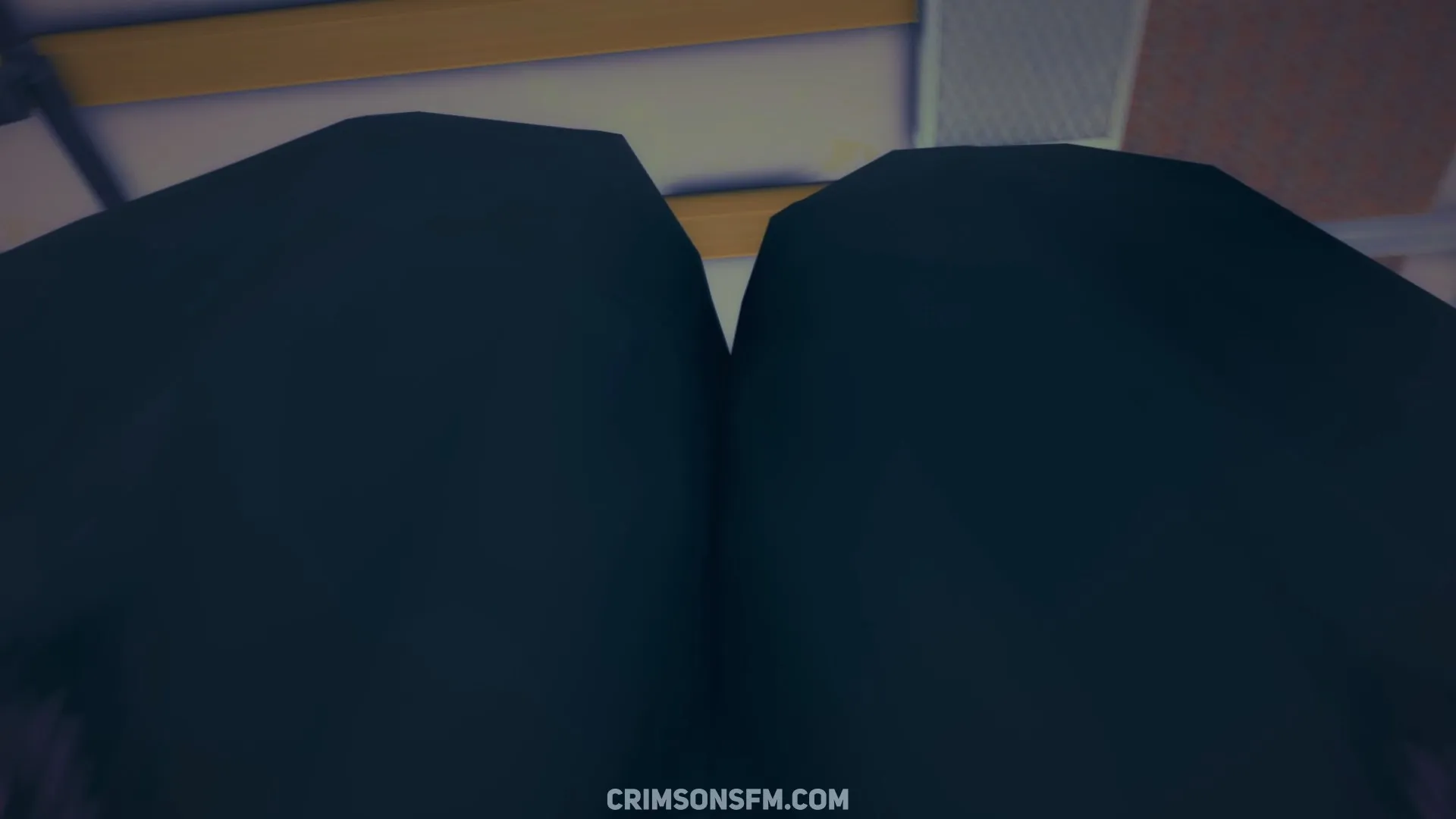 POV perspective in Zhu Yuan and Qingyi fart on Nicole (with Belle) — fetish SFM preview 3