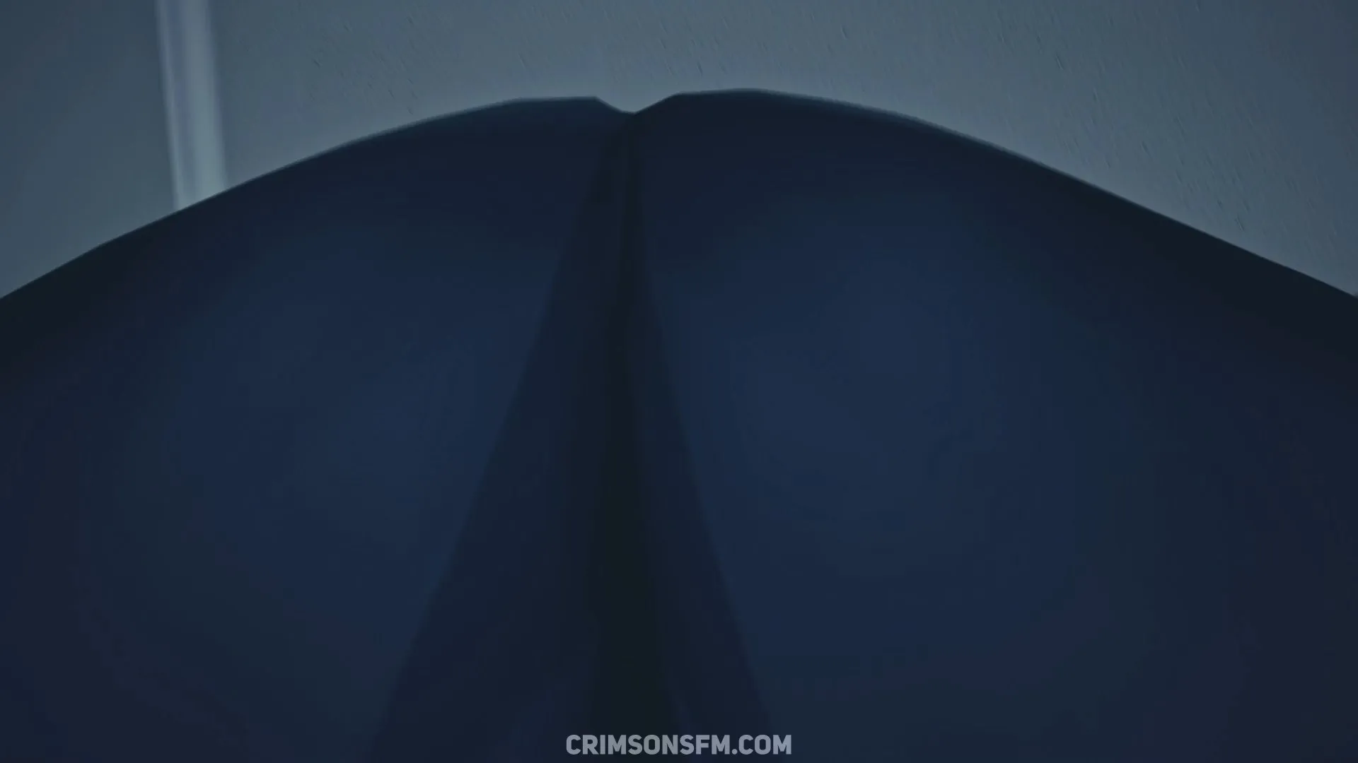 POV perspective in Shenhe farts on Yelan — fetish SFM preview 2