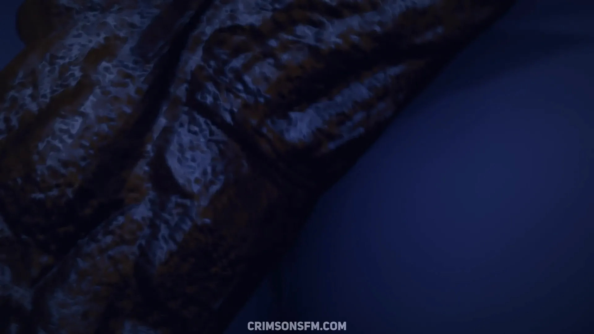 Shenhe farts on Lumine — pooping scene with scat alternative — fetish SFM preview 3