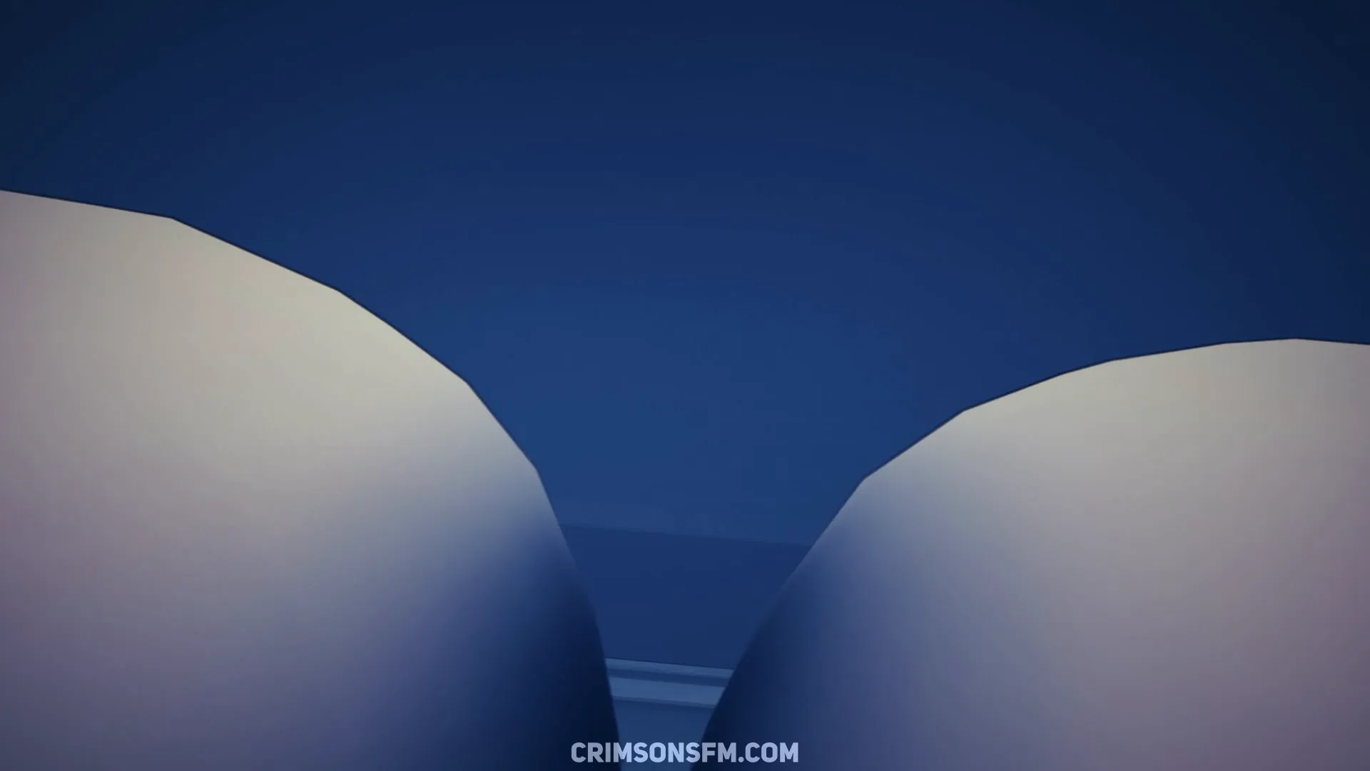 POV perspective in Raiden Shogun farts on Aether — fetish SFM preview 3
