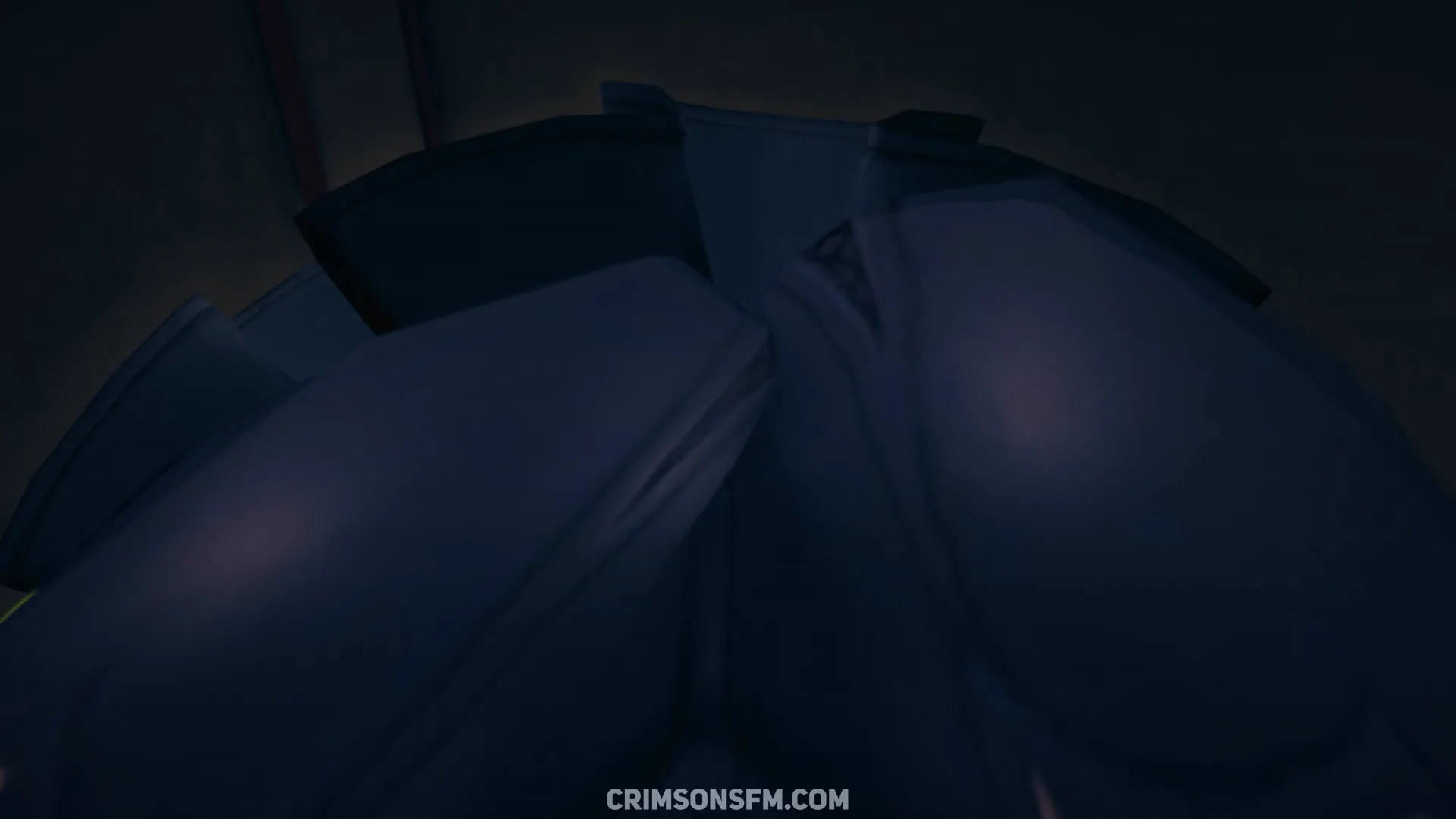 POV perspective in Cissia farts on Wise — fetish SFM preview 2