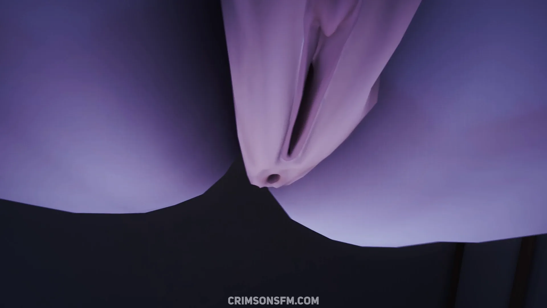 POV perspective in Velina farts on Firefly — fetish SFM preview 2
