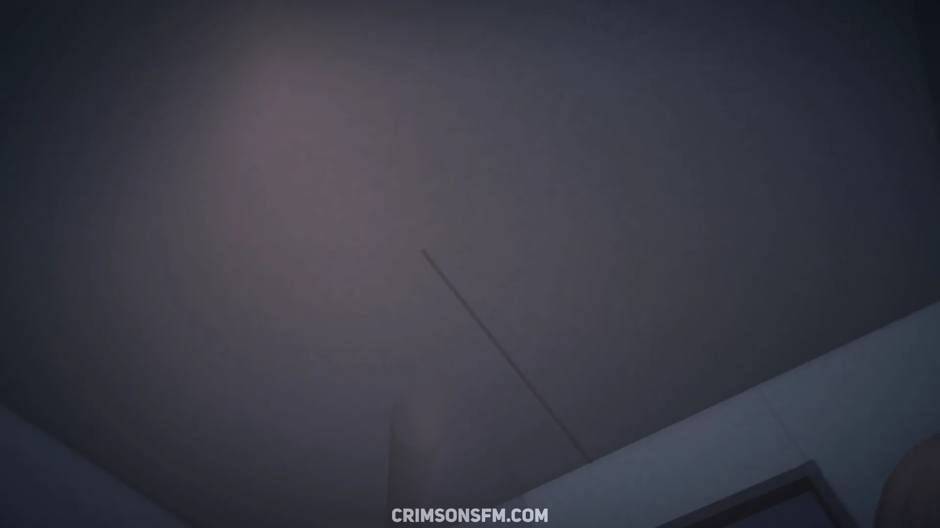 Jane Doe farts on Wise - POV version