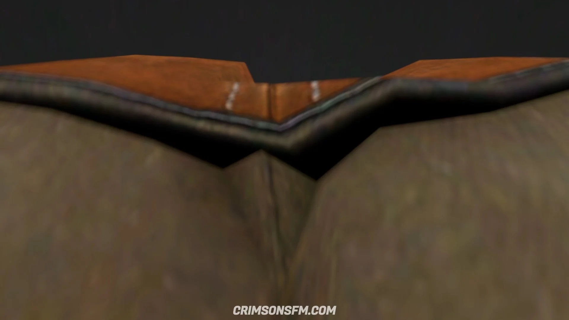 POV perspective in Ciri farts on Amber — fetish SFM preview 2