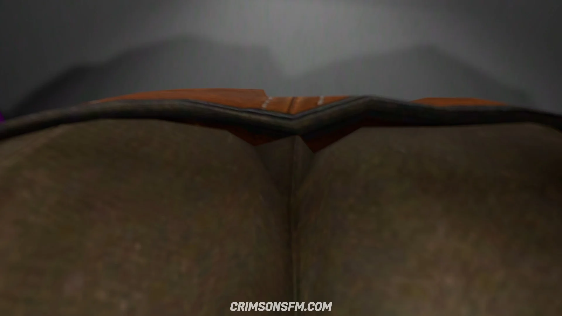 POV perspective in Ciri farts on Amber – fetish SFM preview 1