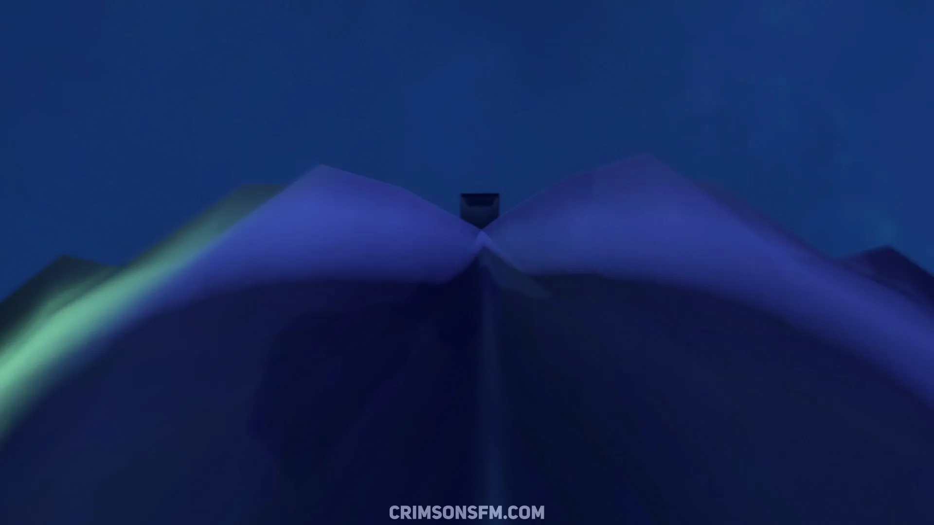 POV perspective in Trigger farts on Soldier 11 – fetish SFM preview 3